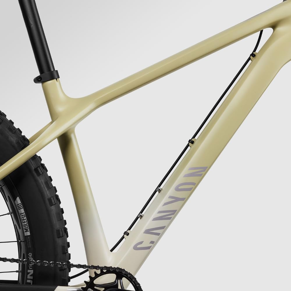 Canyon Dude CF8  Fat Tire Mountain Bike
