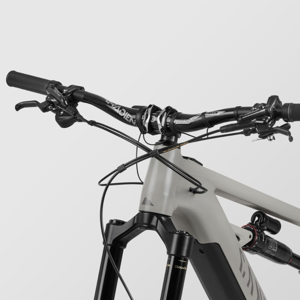 Canyon Torque ON 7 Power Electric Mountain Bike