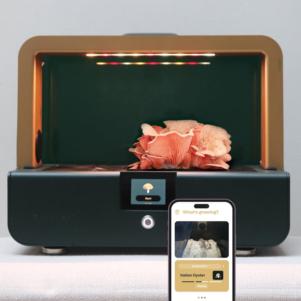 Sproushi Mushroom Growing Kit