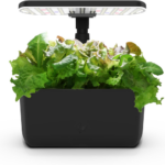 AeroGarden Harvest Lite