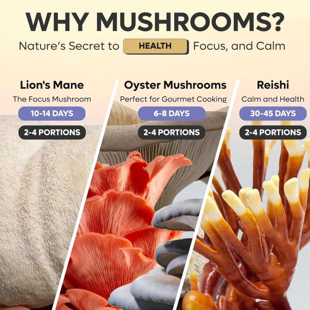 Sproushi Mushroom Growing Kit