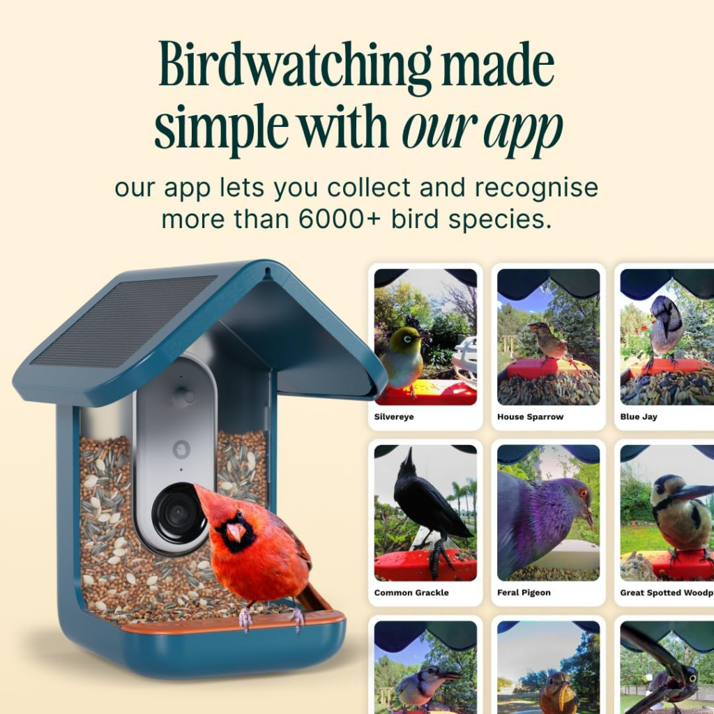 Bird Buddy PRO Solar Smart Bird Feeder with Camera