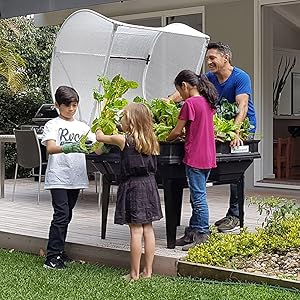 Vegepod Raised Garden Bed