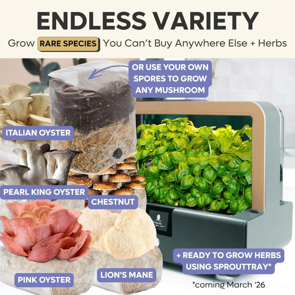 Sproushi Mushroom Growing Kit