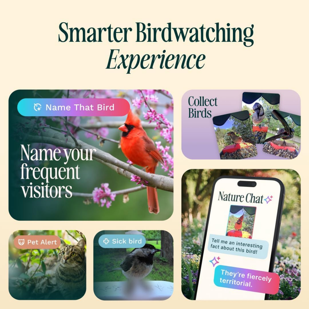 Bird Buddy PRO Solar Smart Bird Feeder with Camera