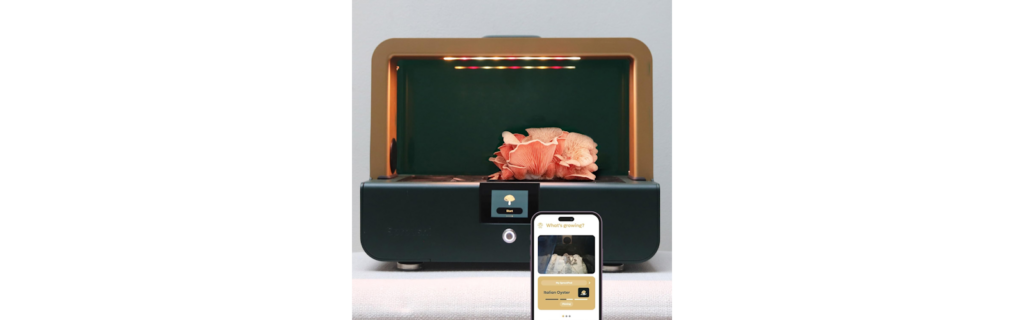 Sproushi Mushroom Growing Kit