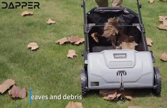 Dapper Leaf Lawn Sweeper