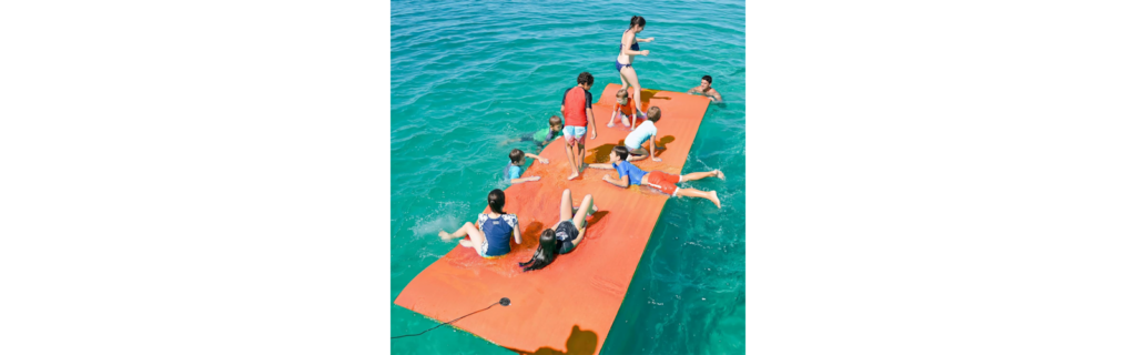 Cobinery Lily Pad Floating Mat